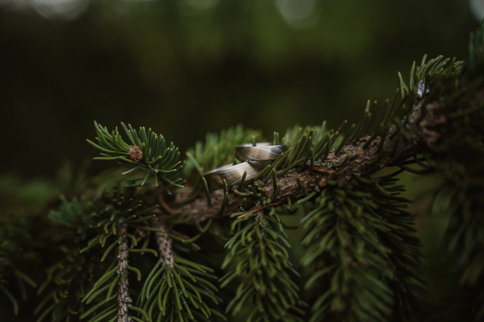 Wedding photography — 24